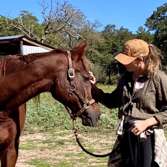 Horse Lessons For Life's Challenges - logo